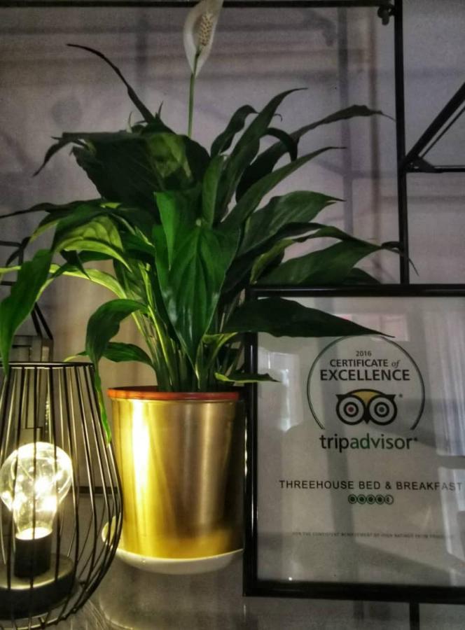 Treehouse Hostel Kuching Bagian luar foto